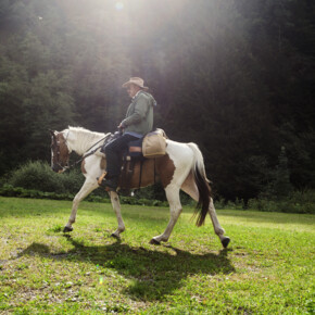Horseback riding 