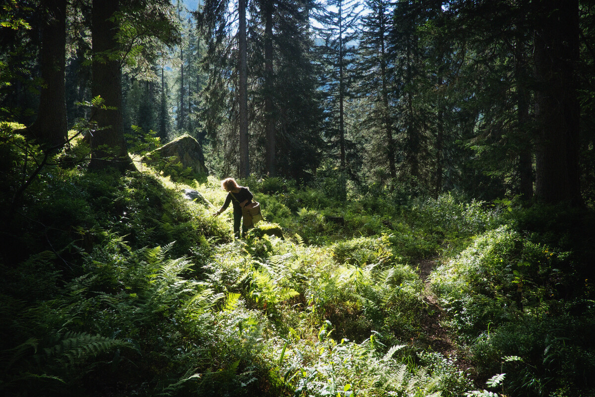 Vigo Rendena Трентино Наши города и куорты Трентино Италия