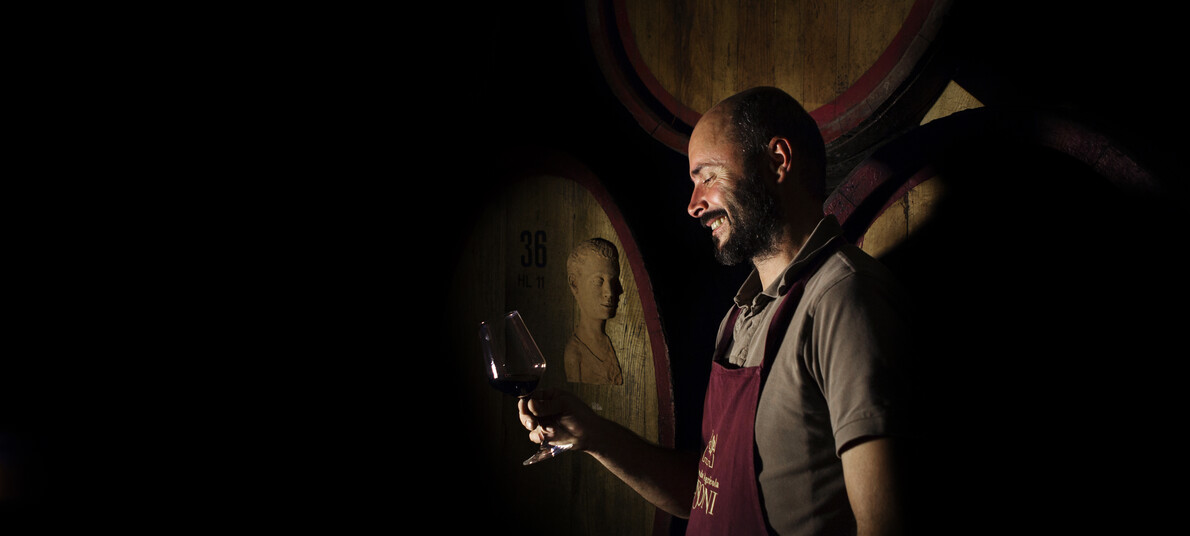 Вино и другие напитки Трентино, Италия 