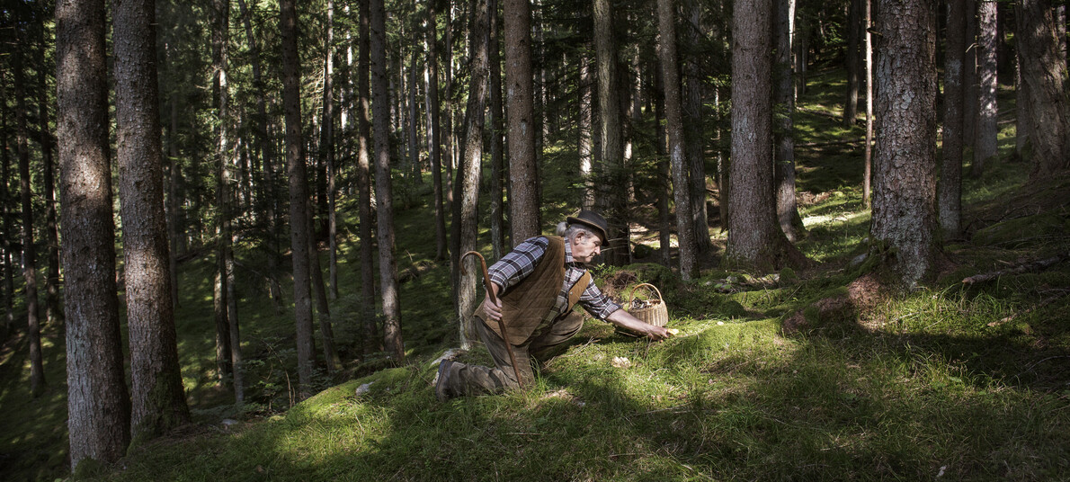 Collection of typical autumn products