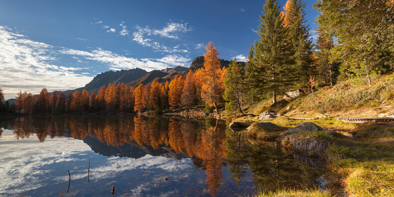 Where to admire the foliage in Trentino