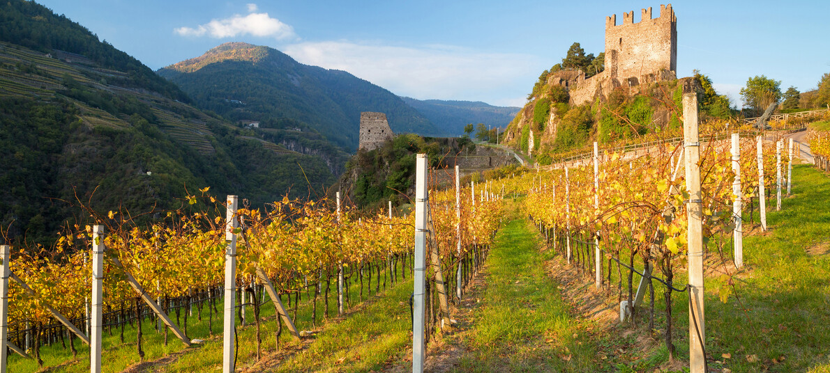 De vijf mooiste herfstwandelingen in Trentino