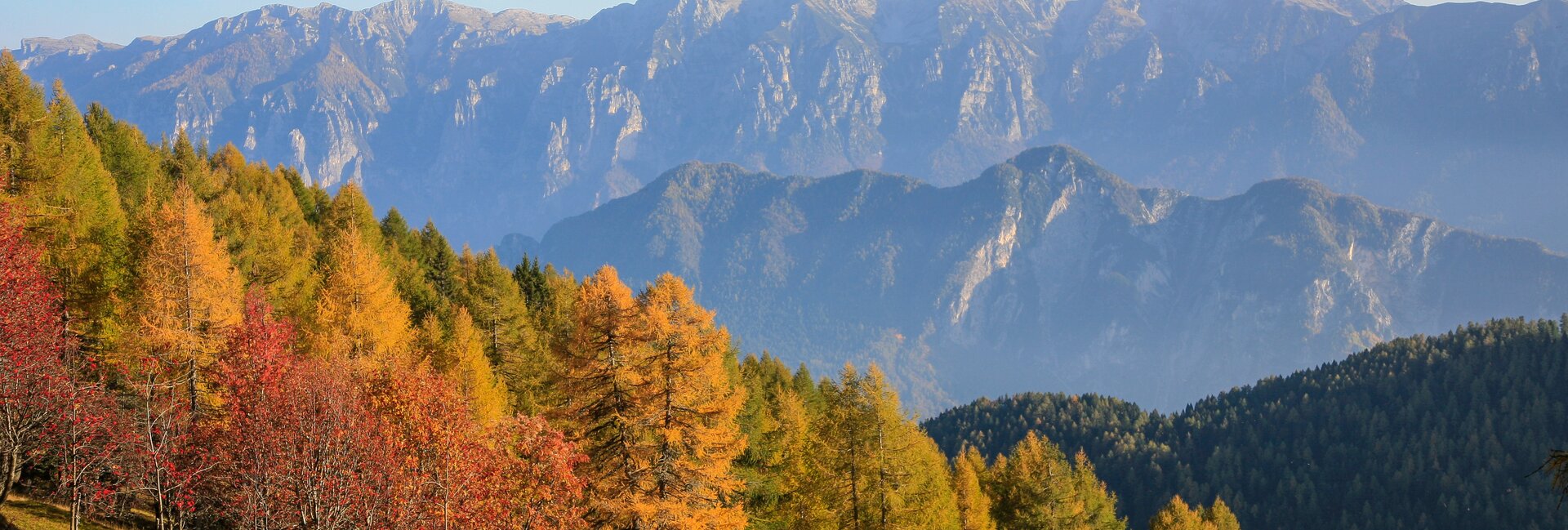 Valsugana - Lagorai - Novaledo - Panorama dalla bassa Malga Masi
