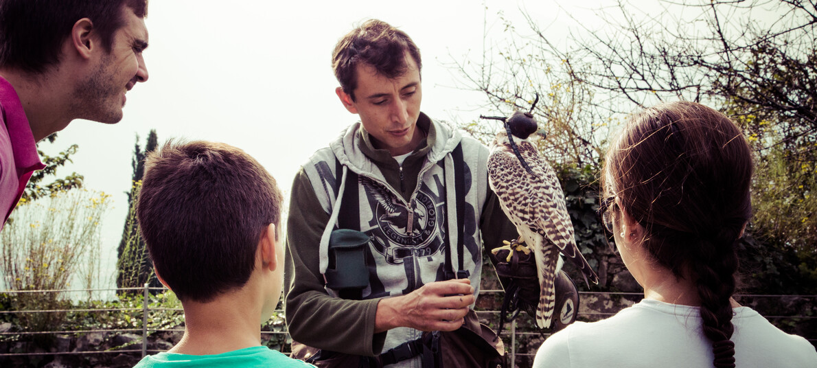 Trentino Guest Card - Aanhangende Structuren