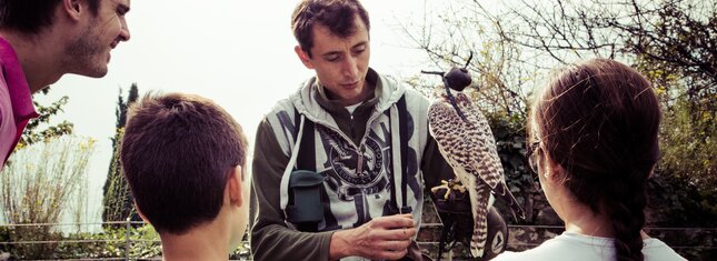 Alto Garda - Arco - Castello di Arco
