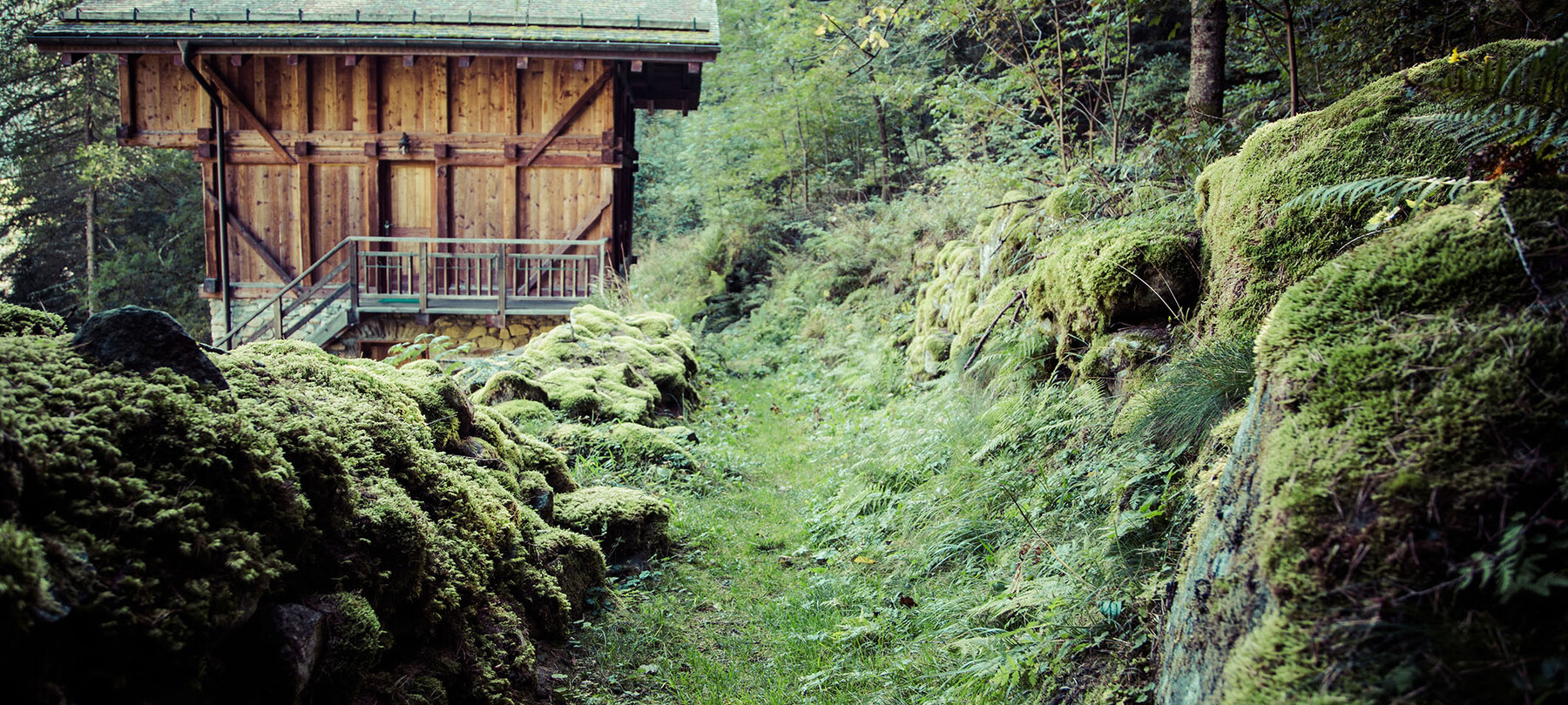 Val di Sole: de elementen van de natuur aan de basis van de technologieën en het werk in de bergen 