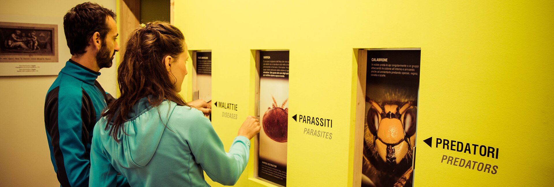 Val di Sole - Croviana - MMape - Mulino Museo dell'ape
