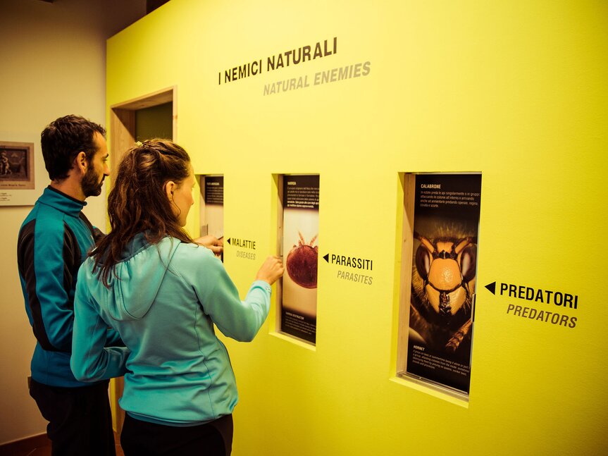 Val di Sole - Croviana - MMape - Mulino Museo dell'ape
