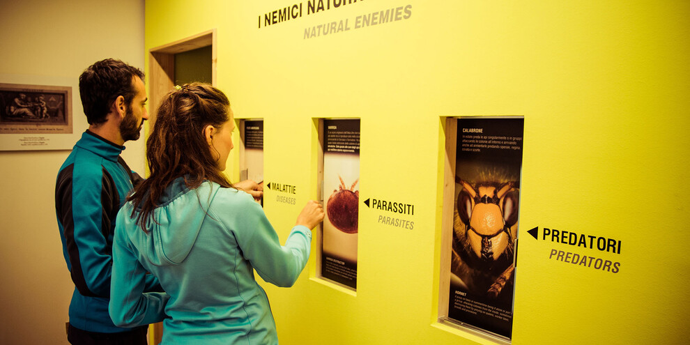 Val di Sole - Croviana - MMape - Mulino Museo dell'ape
