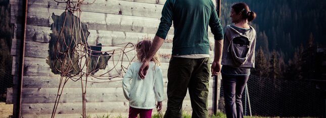 Val di Fiemme - Paneveggio - Parco Paneveggio Pale di San Martino
