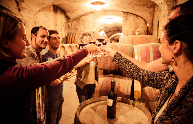 Entdecken Sie alle Weine des Trentino!