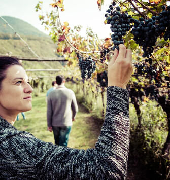 Trentino Guest Card - Visite Guidate #4