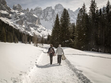 San Martino di Castrozza - Val Venegia - Passeggiata nella neve