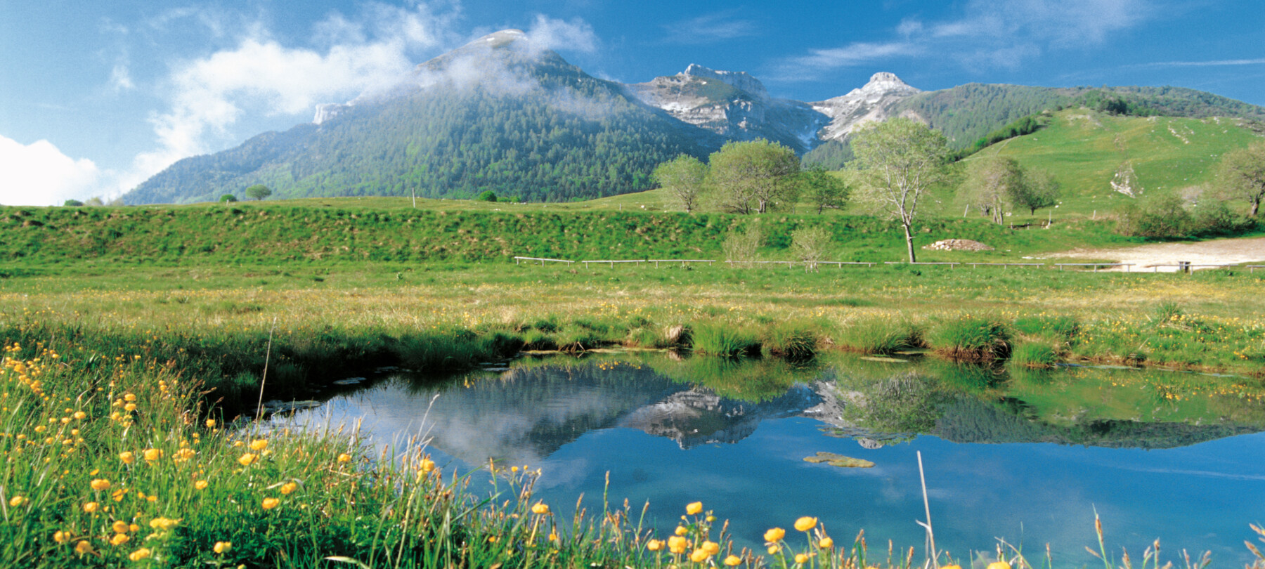 Monte Bondone, riserva naturale Tre cime, in Bondone