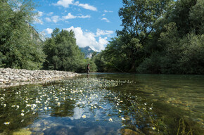 Valle dell'Adige - Piana Rotaliana - Torrente Noce - Pesca
