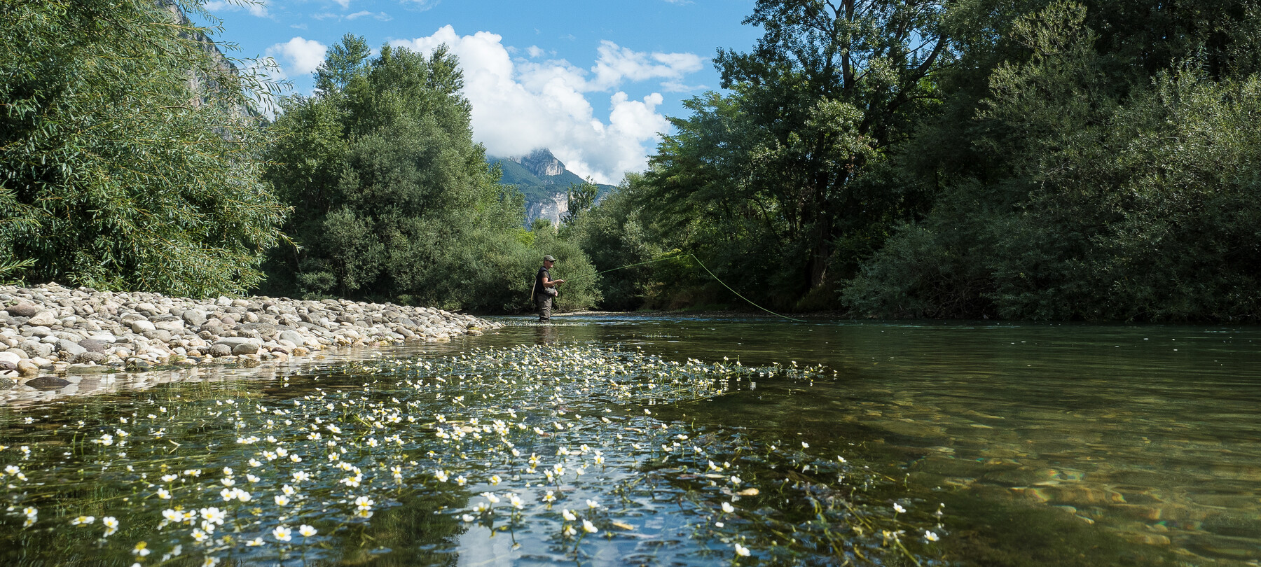Valle dell'Adige - Piana Rotaliana - Torrente Noce - Pesca
