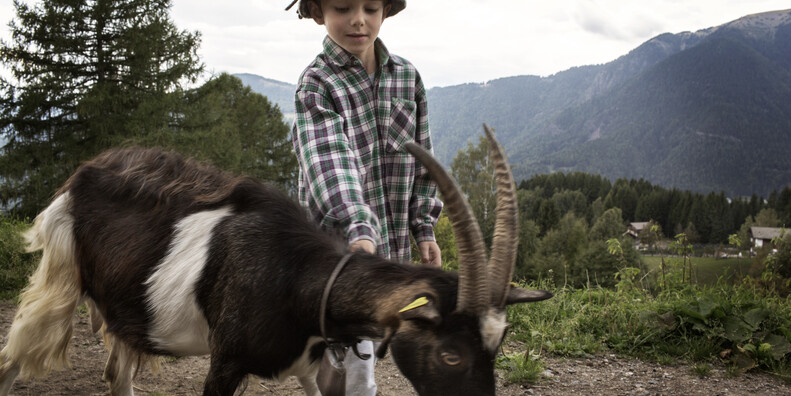 Valle dei Mocheni - Fierozzo - Bambino con capra mochena