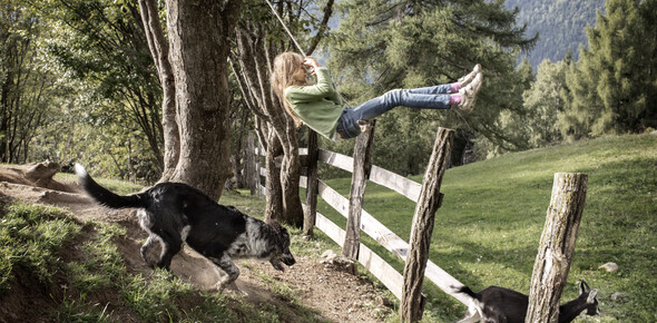 Valle dei Mocheni - Fierozzo - Bambina gioca con capra e cane

