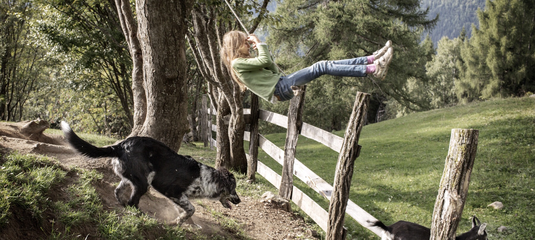 Valle dei Mocheni - Fierozzo - Bambina gioca con capra e cane
