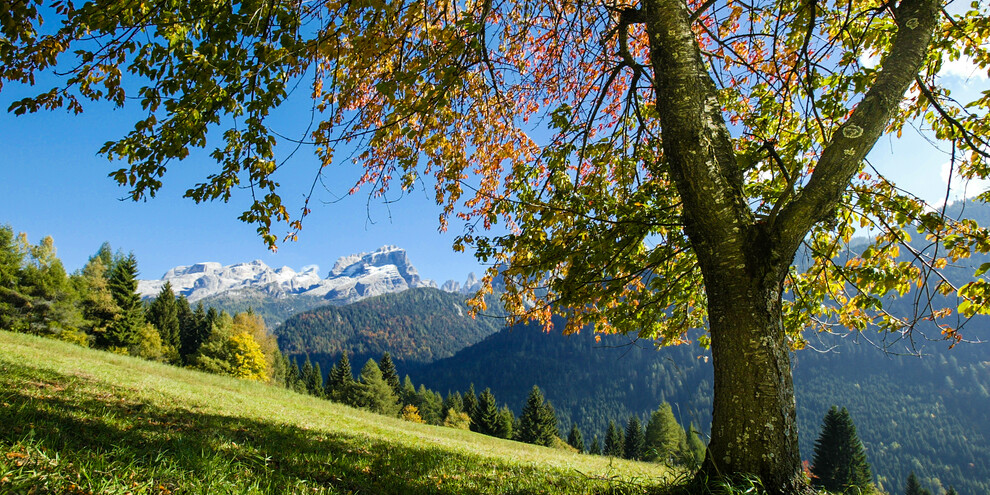 Madonna di Campiglio - Val Rendena - Panorama - Dolomiti di Brenta

