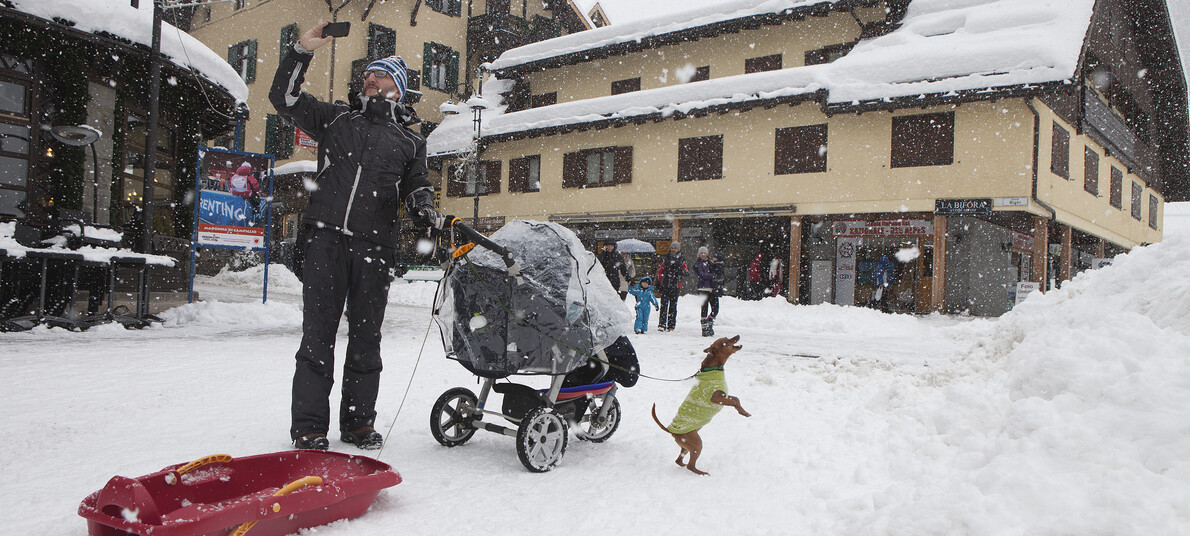Madonna di Campiglio - Padre con passeggino, cane e bob durante una nevicata
