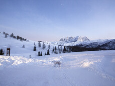 Network of Nature Reserves - Val di Fassa