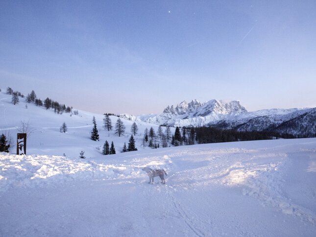 Val di Fassa - Passo San Pellegrino - Fuciade - Panorama 
