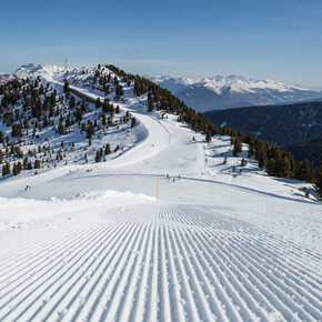 Val di Fiemme - Cavalese - Cermis - Ski holidays
