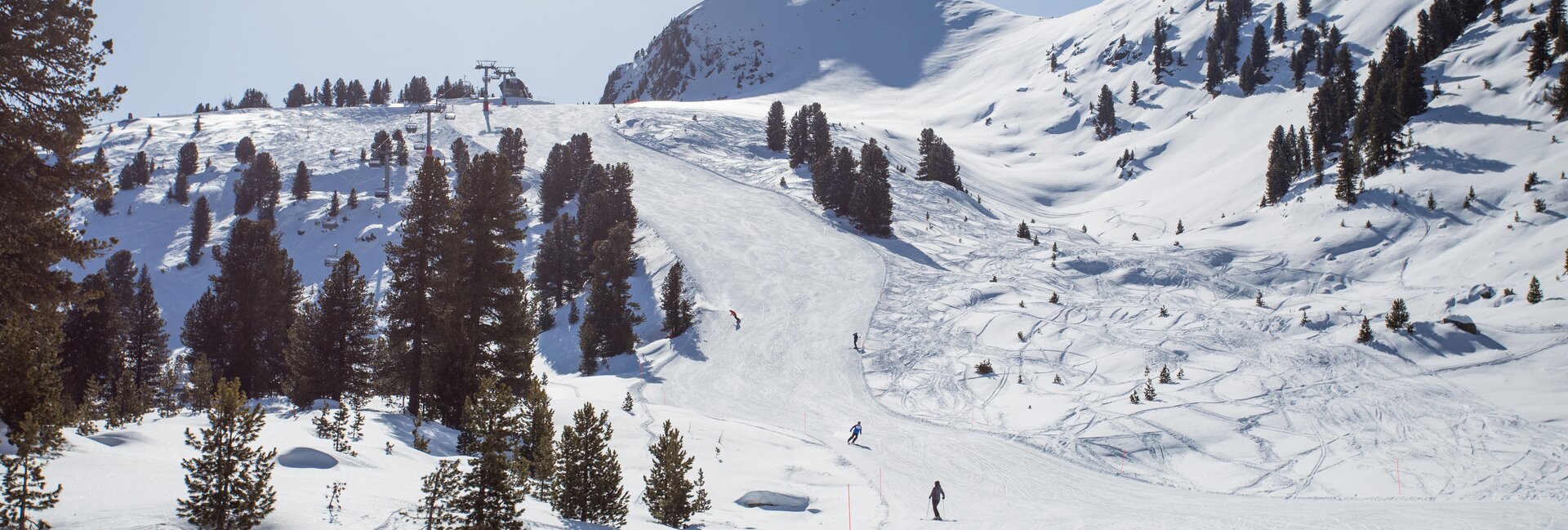 Val di Fiemme - Cavalese - Cermis - Piste da sci
