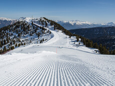 Val di Fiemme - Cavalese - Cermis - Skiurlaub