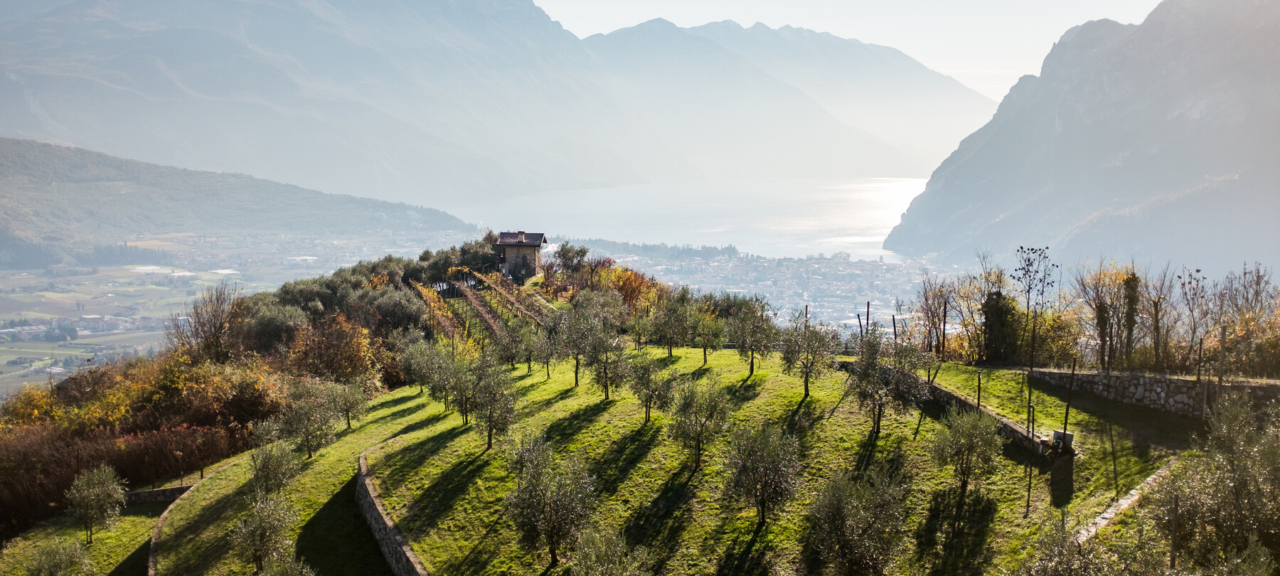 Alto Garda - Garda Trentino - Riva del Garda - Piazze - Raccolta Olive