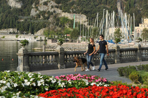 Garda Trentino - Riva del Garda - Coppia a passeggio con il cane