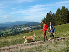 Val di Fiemme - Trekking, passeggiata con il cane
