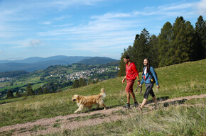 Where is Cavalese Italy - Val di Fiemme - Italian Alps - Holidays with dog in Italy