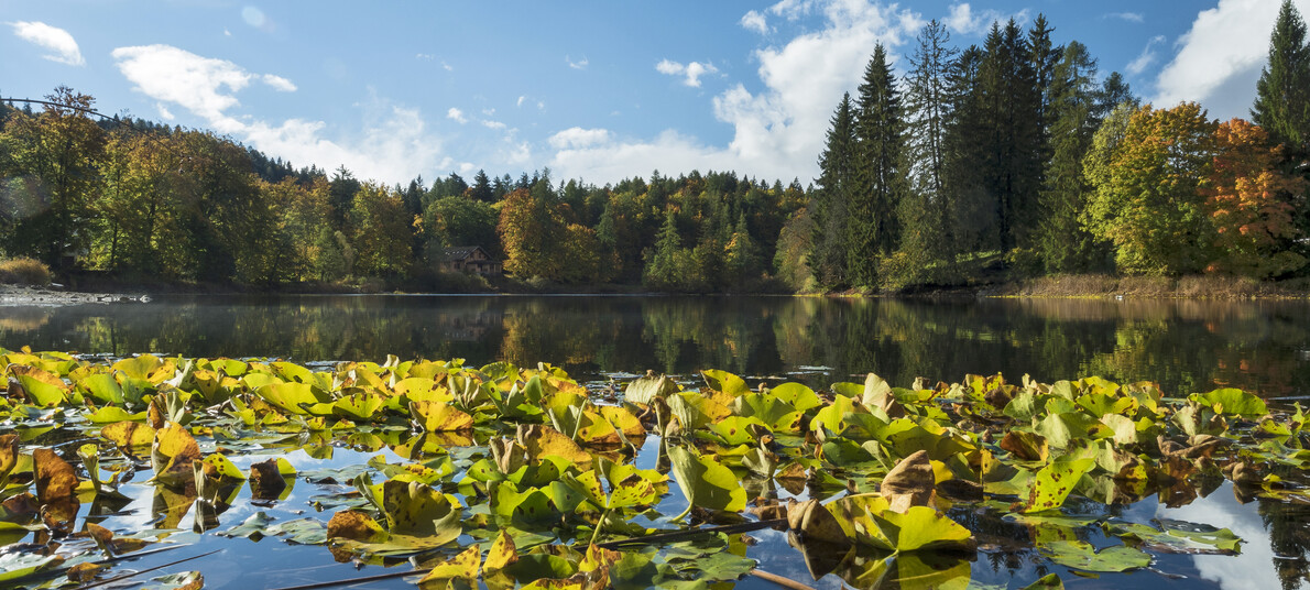 Laghi e passeggiate autunnali in Trentino
