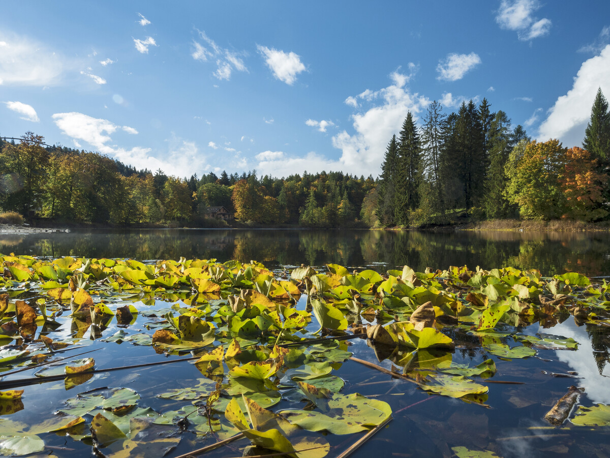 lago di cei come arrivare