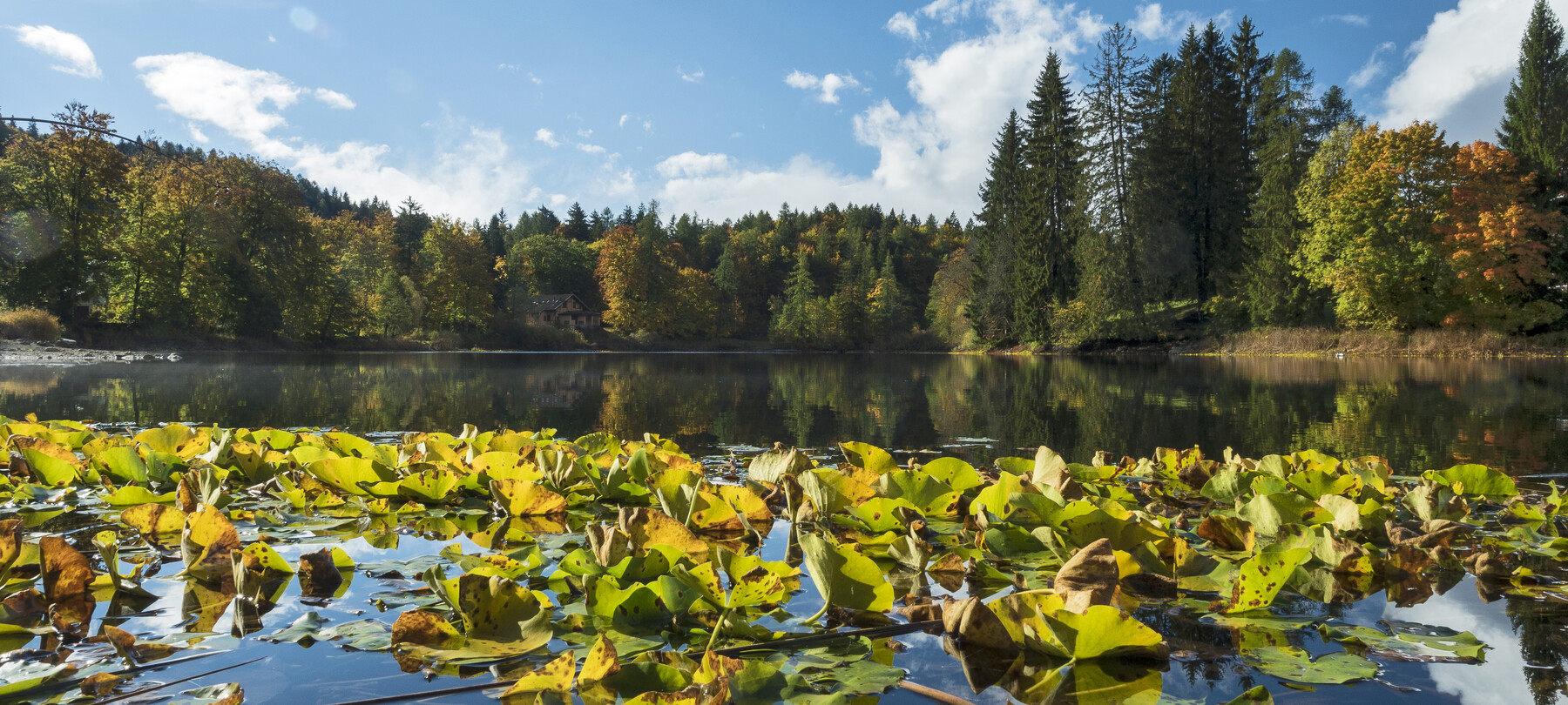 Laghi e passeggiate autunnali in Trentino