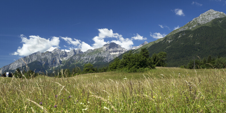 Altopiano della Paganella - Dolomiti di Brenta - Andalo