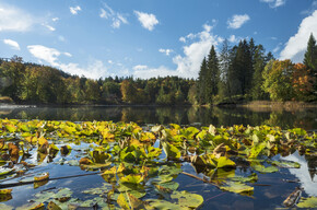 Lakes and autumn walks in Trentino