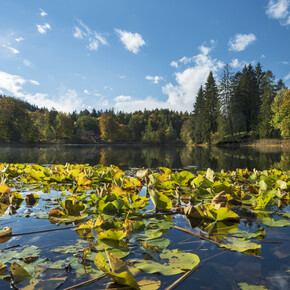 Seen und Herbstspaziergänge im Trentino