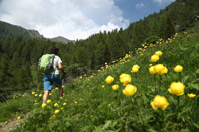 Valle dei Mocheni - Palu del Fersina -  Alta Val Del Laner - Rifugio Sette Selle
