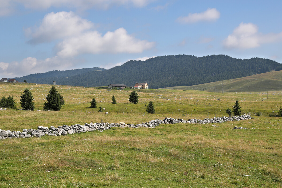 Grigno Sport und Natur auf der Hochebene der Marcesina Trentino