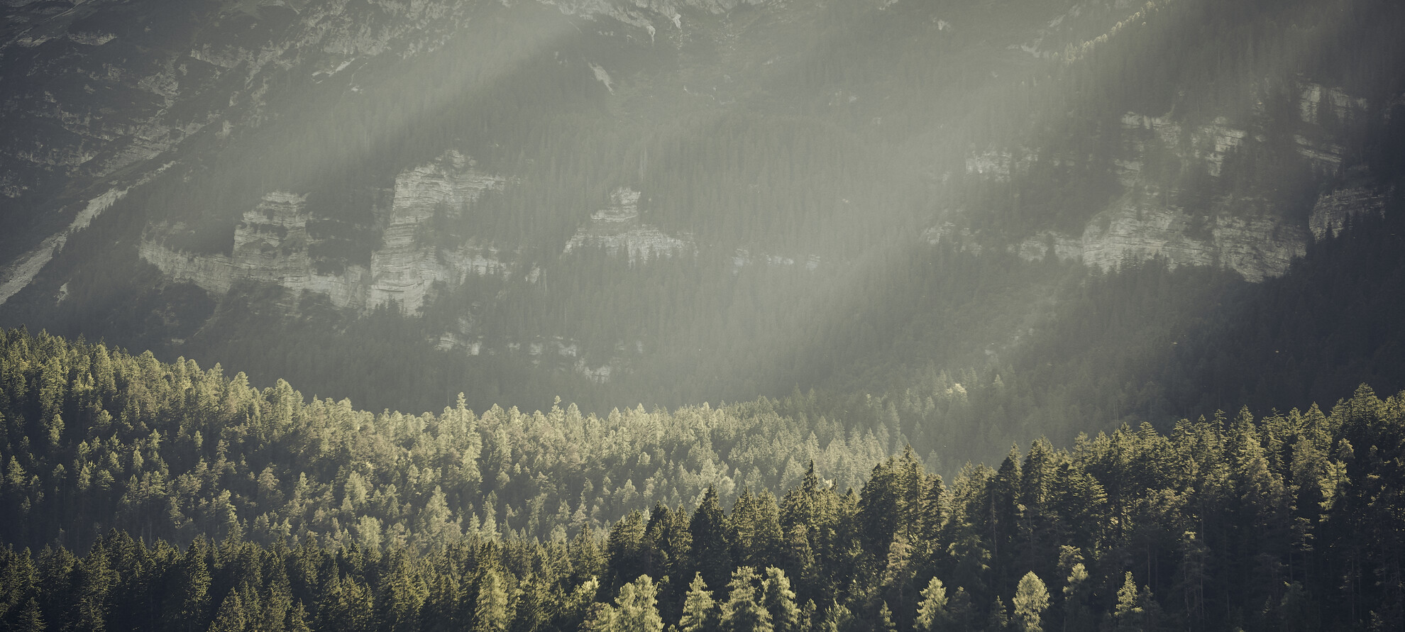 Val di Non - Lago di Tovel - Panorama
