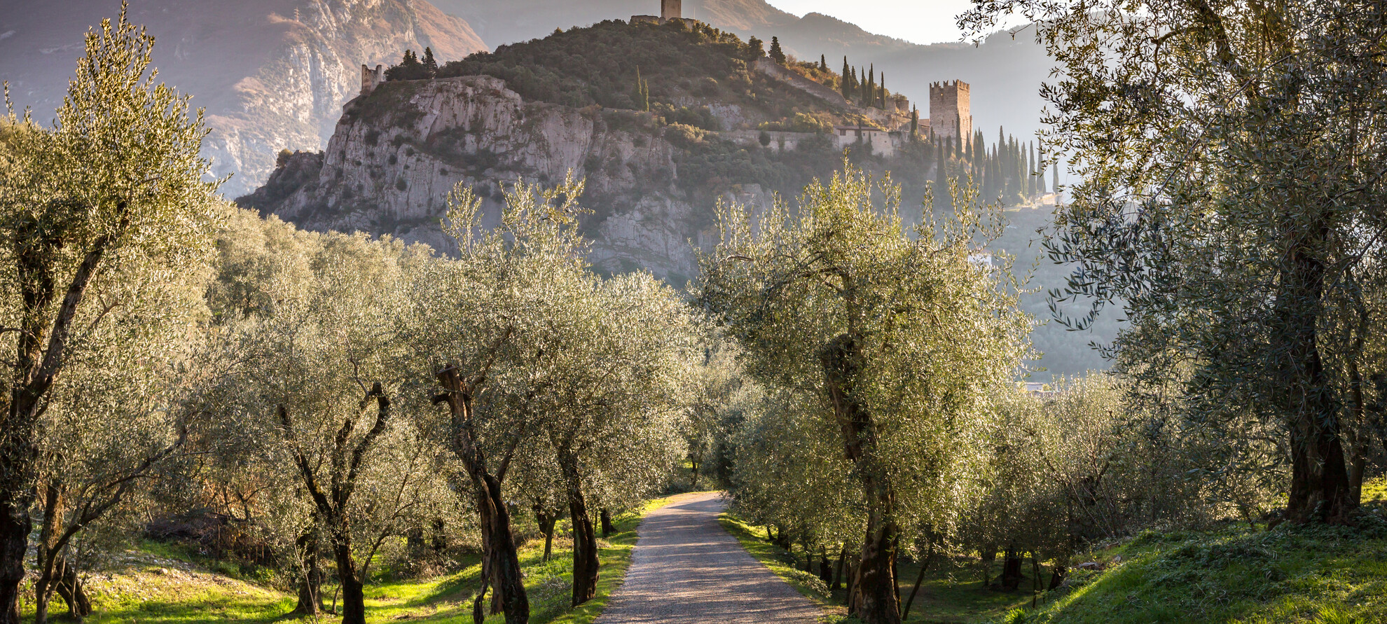 Garda Trentino - Arco - Uliveto
