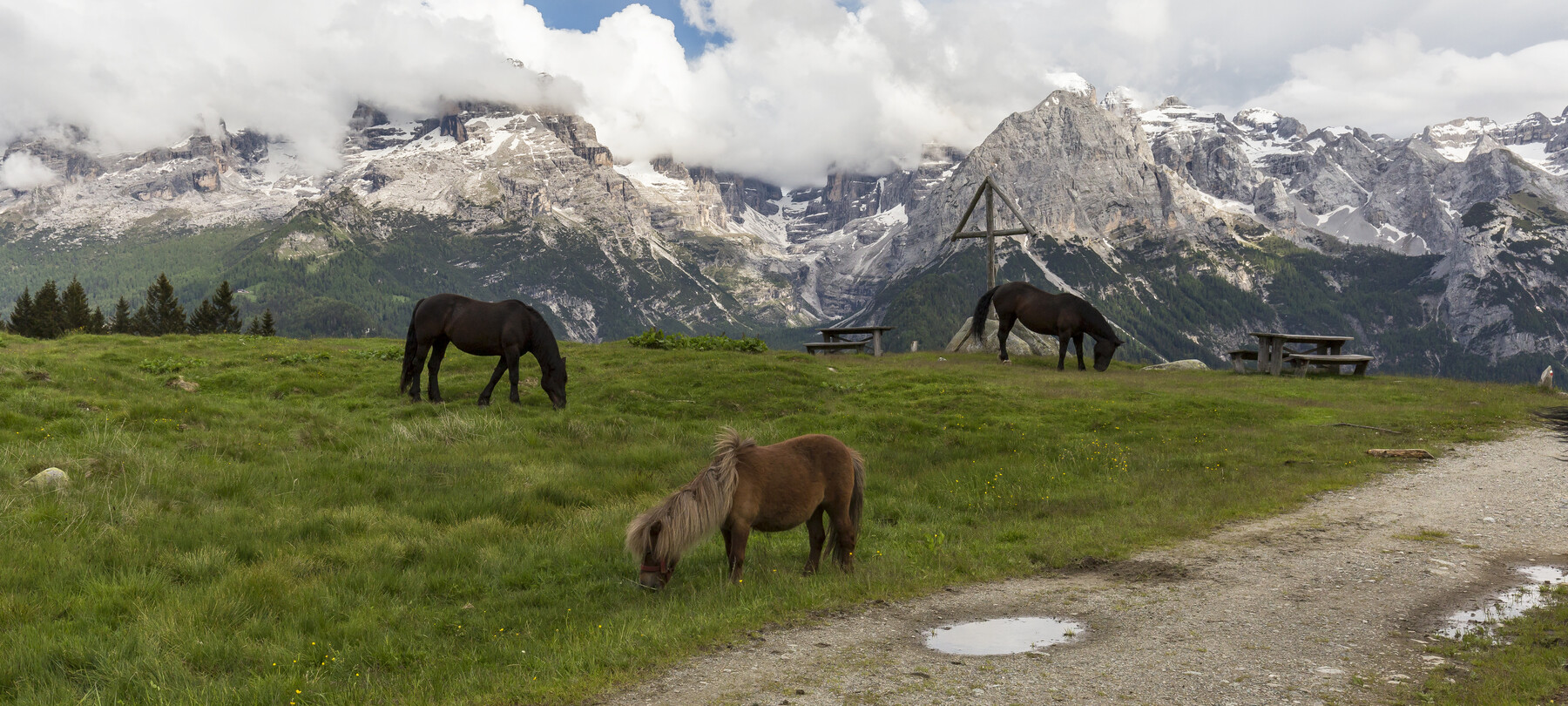 Stories on the Dolomites: Marta, the small mountain dairy herdswoman