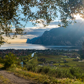 Garda Trentino