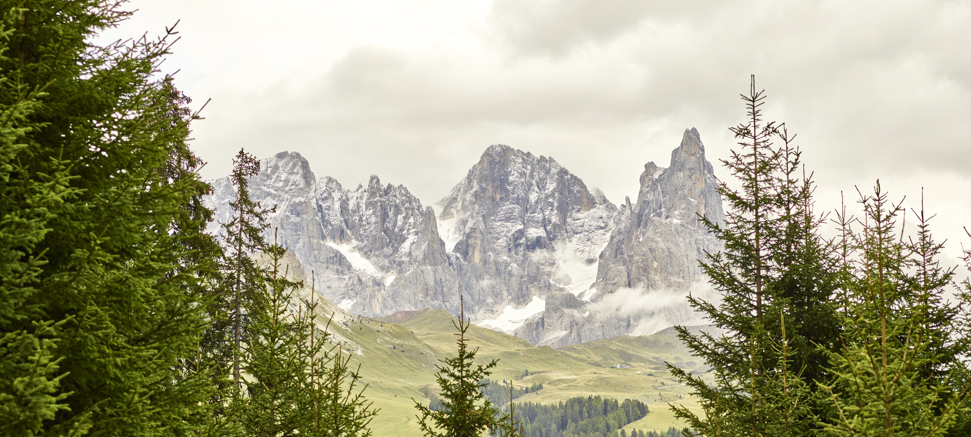 Val di Fiemme - Paneveggio - Panorama
