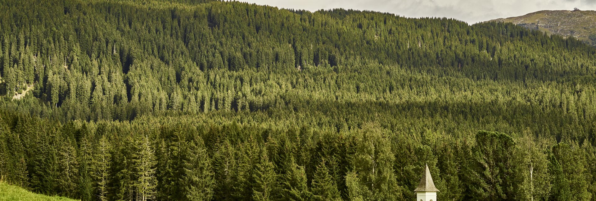 Val di Fiemme - Paneveggio - Chiesa dell'Assunta
