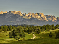 Monte Bondone - Viote - Panorama sulle Dolomiti di Brenta