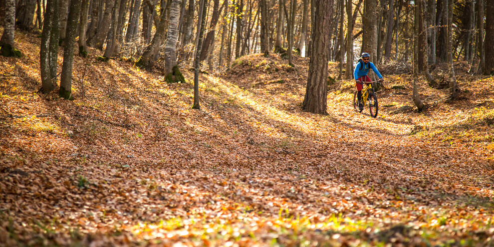 Feinschmecker-Touren